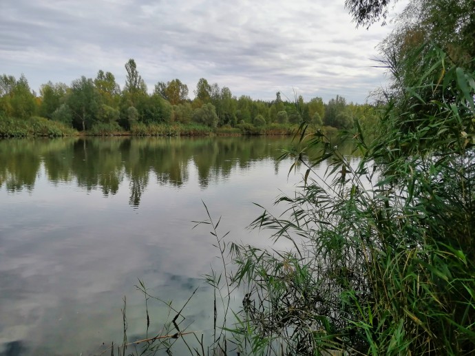 Северский Донец, ул. Донецкая