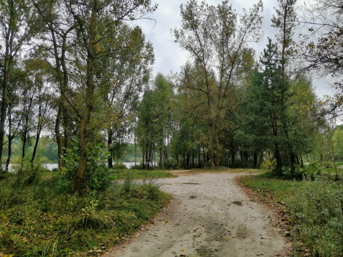 Северский Донец, ул. Донецкая