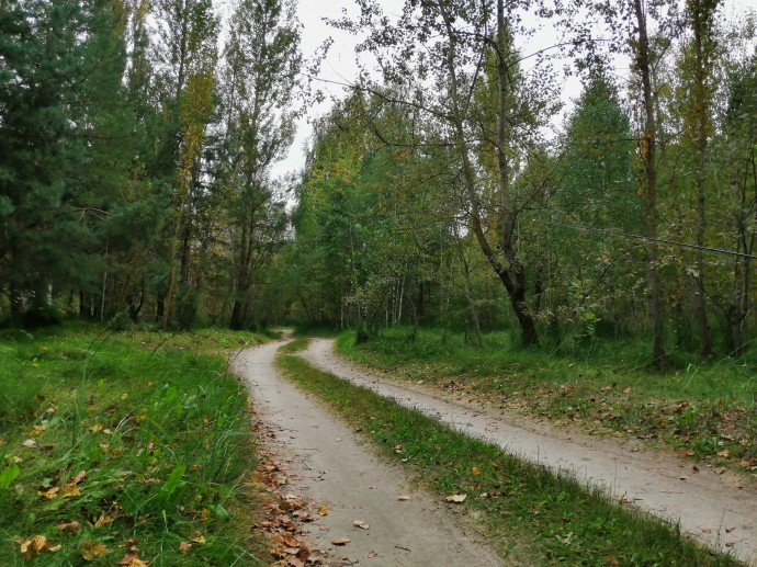 Северский Донец, ул. Донецкая