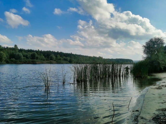 Северский Донец, ул. Донецкая