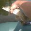Отчет о рыбалке в Валуйках на реке Оскол 2