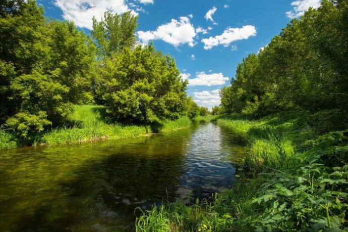 Река Тихая в Приозерском районе: лучшая рыбалка для настоящих ценителей природы